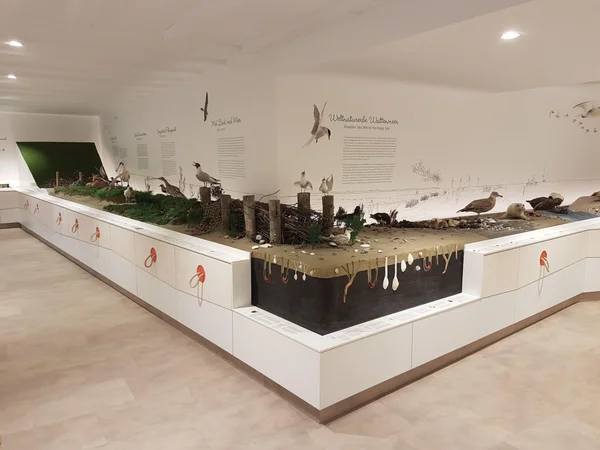 Bild 0: Nationalpark-Haus Wangerland (Minsen)